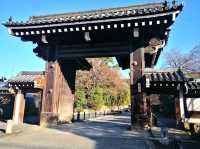 Whispers of Peace at Chion-in Temple, Kyoto
