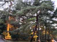 🍁漫步金澤兼六園：與光影共舞的日式秘境🌲💫