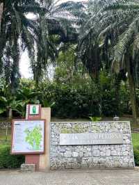 🌿 Urban Escape: Discover Perdana Botanical Garden, Kuala Lumpur