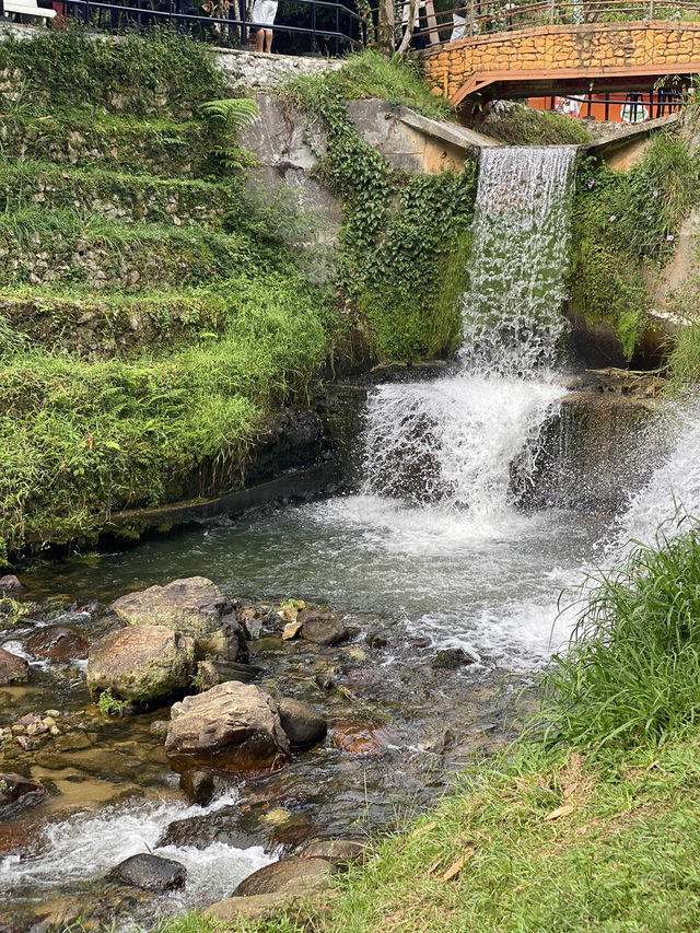 A Refreshing Highland Escape! 