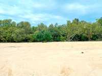 Island Calm and Mangrove Charm: Alibijaban, Quezon