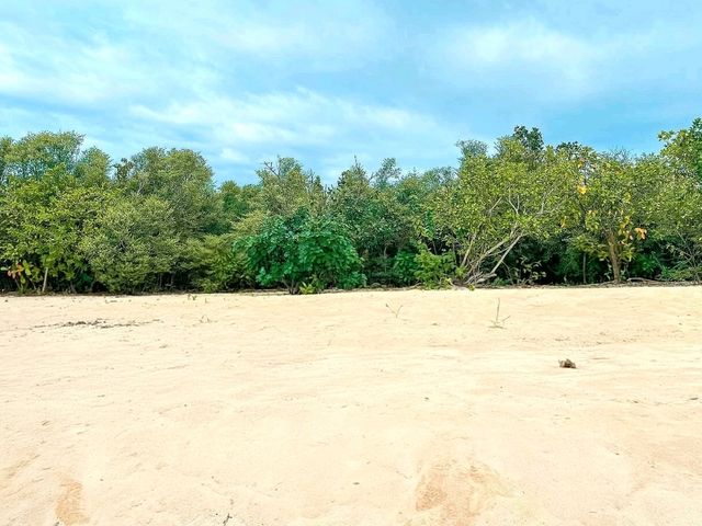 Island Calm and Mangrove Charm: Alibijaban, Quezon