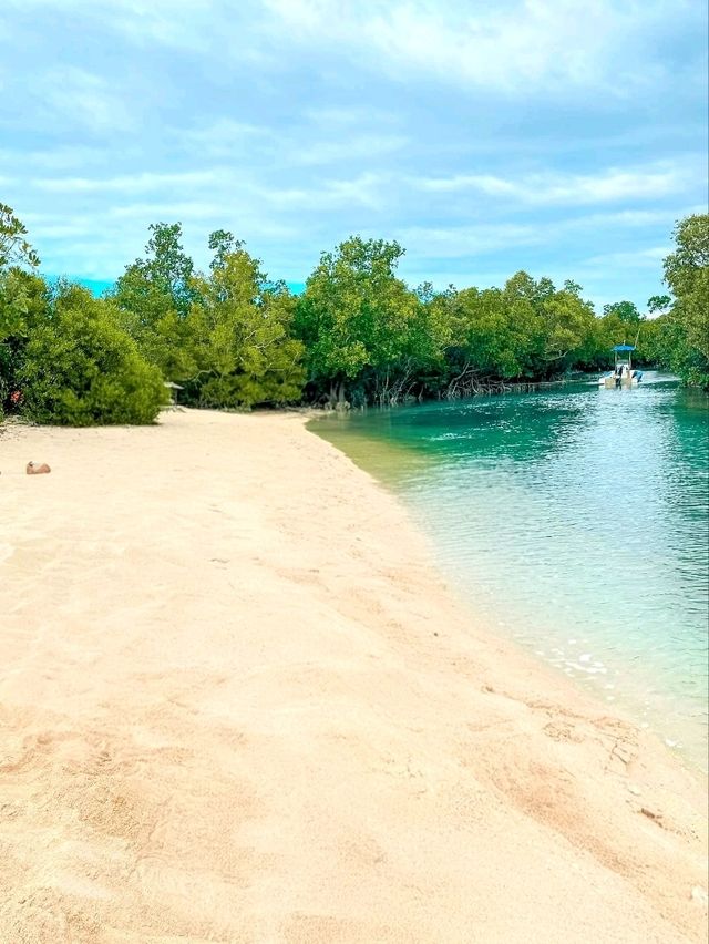 Island Calm and Mangrove Charm: Alibijaban, Quezon