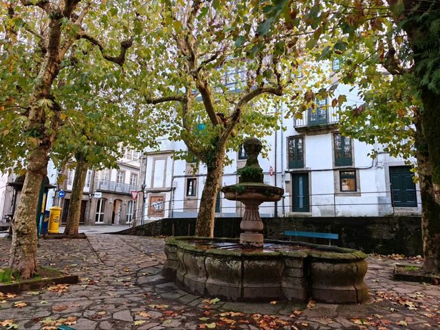 Pilgrims, Vibes & Cobblestone Magic 