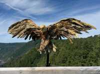 Above the Trees: A Calm Walk at Malahat SkyWalk