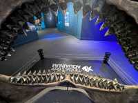 Texas State Aquarium – Corpus Christi