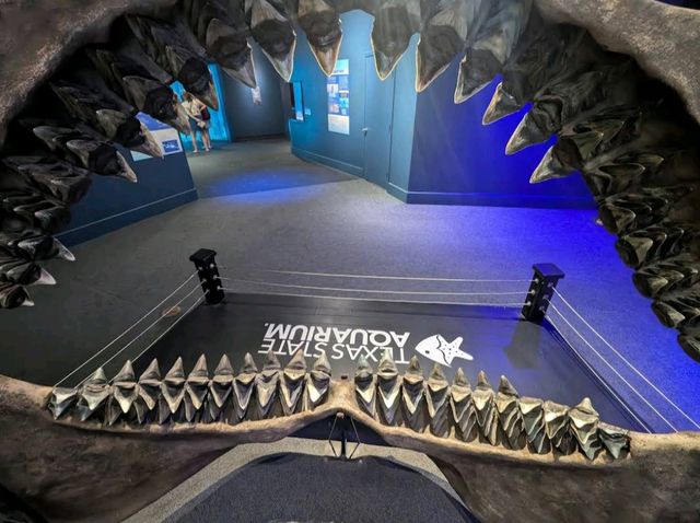 Texas State Aquarium – Corpus Christi