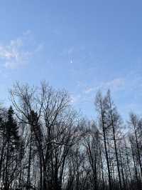 聖山天池 四季奇境 — 長白山