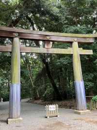Meiji Jingu: Tokyo’s Peaceful Heartbeat in a Sacred Forest