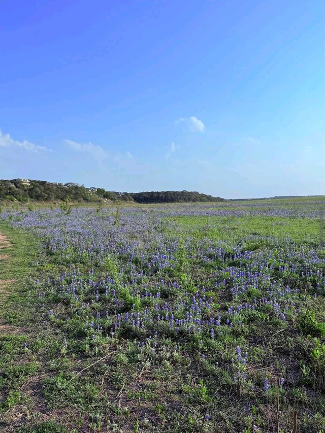 Muleshoe Bend Recreation Area