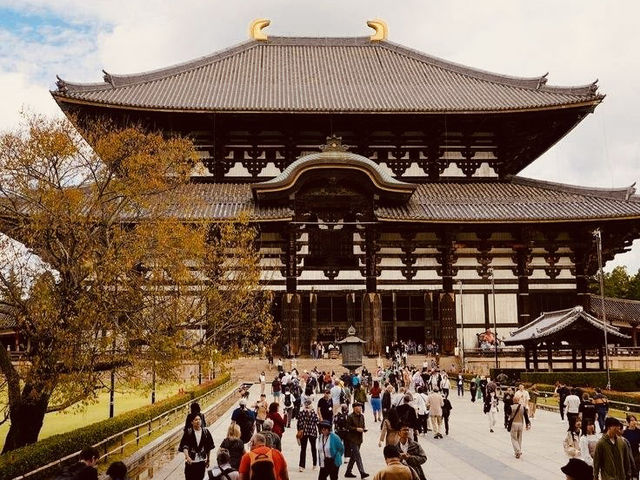 Summer Visit to Tōdai-ji Temple (東大寺) – A Majestic Encounter in Nara** 🏯🦌