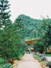 Dee Café & ร้านอาหาร