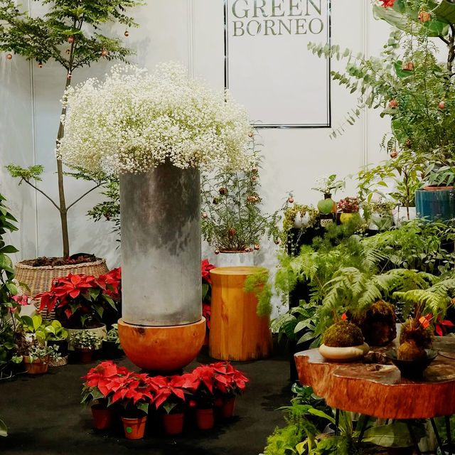 Botanic Brews and Earthy Escapes