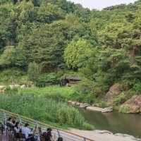 Hongjecheon Waterfall Plaza: Seoul’s Secret Urban Cascade – A Solo Traveler’s Refuge"** 🌊🏙️ 