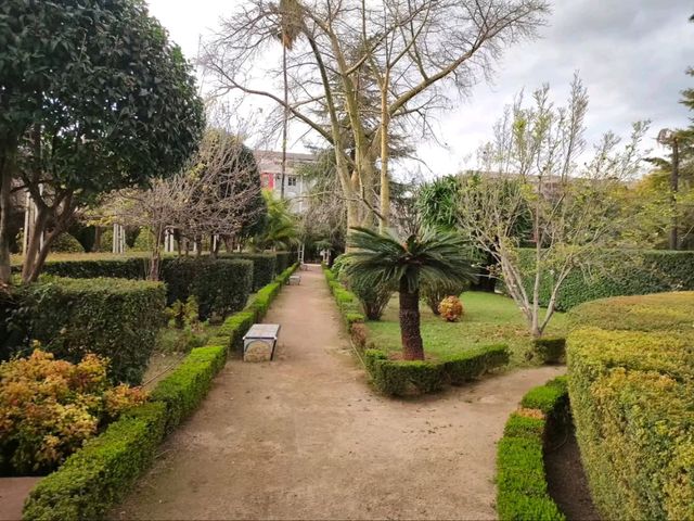 Serene Beauty in Xàtiva
