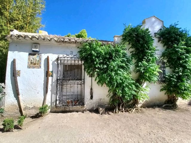 Serene Beauty in Xàtiva