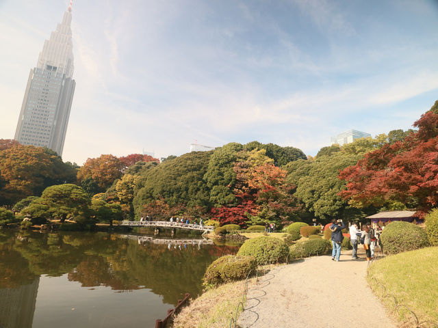 極品景點：四季皆美的東京城市綠洲