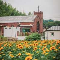 Gangju Village (강주마을): A Hidden Slice of Traditional Korea in South Jeolla