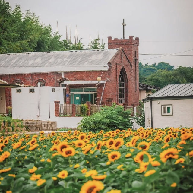 Gangju Village (강주마을): A Hidden Slice of Traditional Korea in South Jeolla
