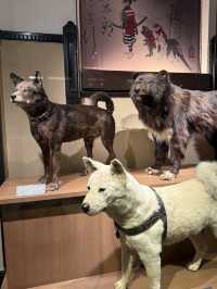 พาชมบรรยากาศ National Museum of Nature and Science