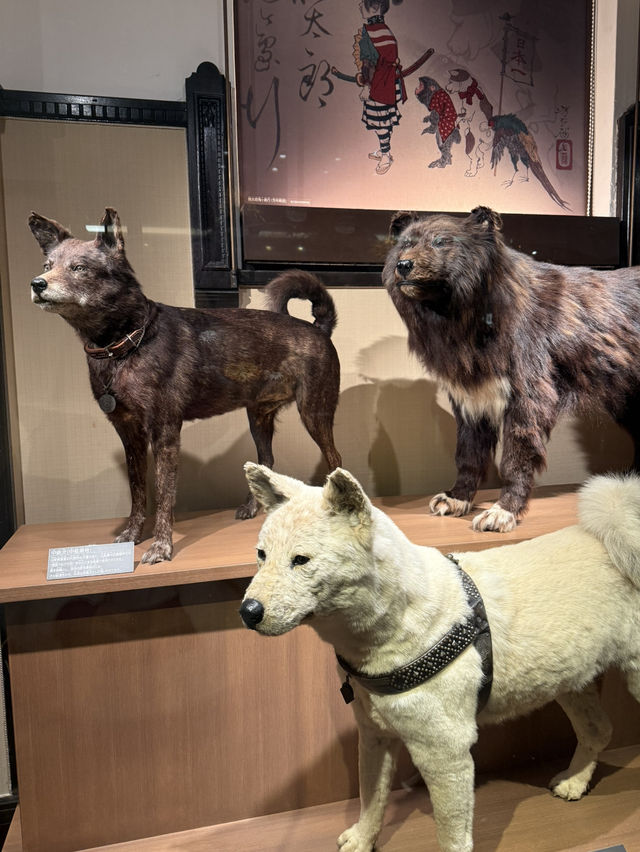 พาชมบรรยากาศ National Museum of Nature and Science