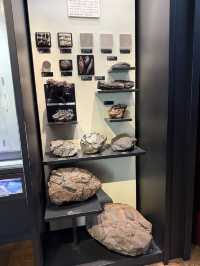 พาชมบรรยากาศ National Museum of Nature and Science