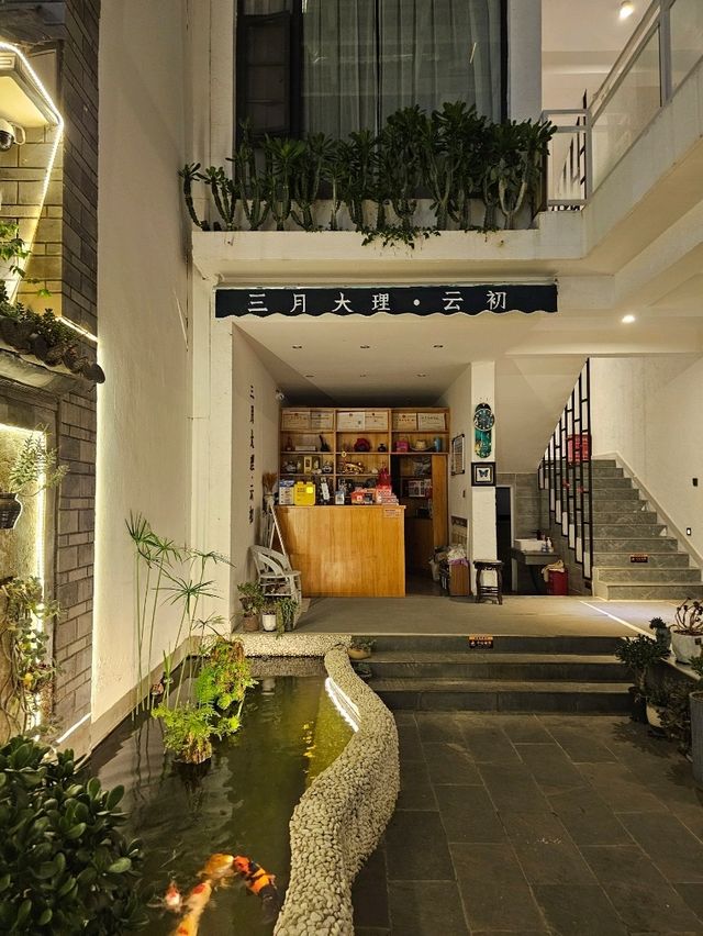 Dali in February BnB