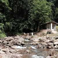 🌿 หลงเขา…แล้วไม่อยากกลับ – หลงเขาคาเฟ่