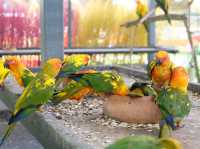 ชมนก Cafe & Restaurant🦜 คาเฟ่สำหรับคนรักนก
