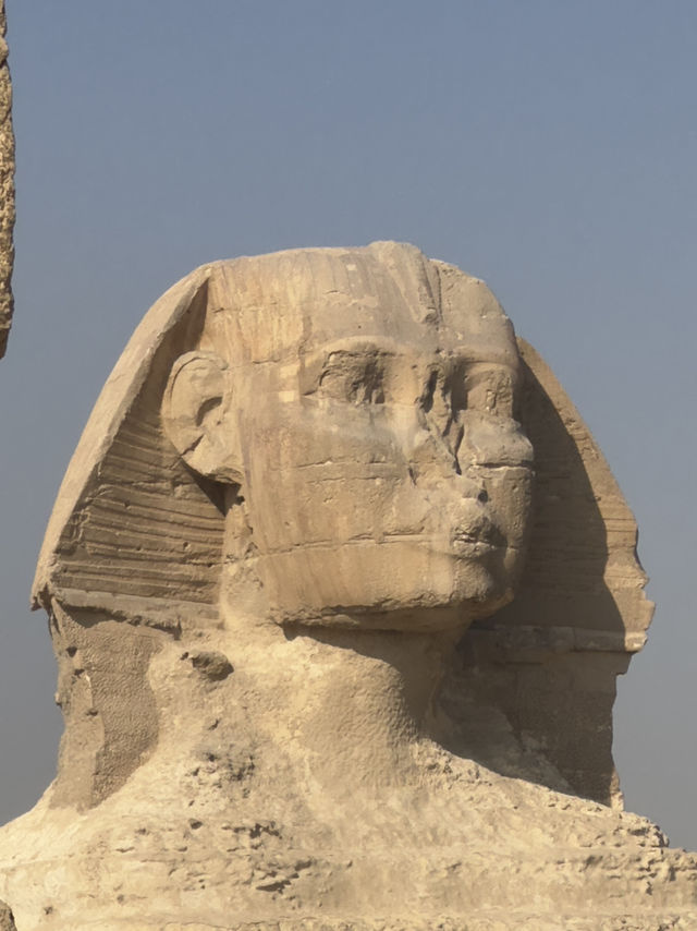 The Sandblasted Oracle: Where Time Gnaws Stone