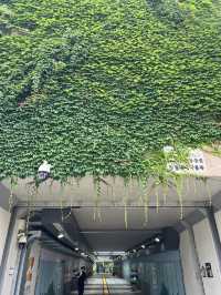 잠실쪽 한강공원 입구