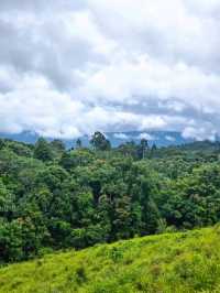 วิ่งสูดอากาศบริสุทธิ์แบบ 360 องศา ที่เขาใหญ่