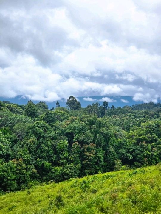 วิ่งสูดอากาศบริสุทธิ์แบบ 360 องศา ที่เขาใหญ่
