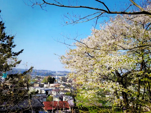 仙台🇯🇵三神峰公園