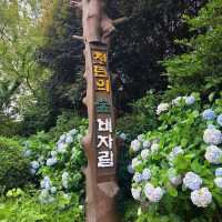 비자림