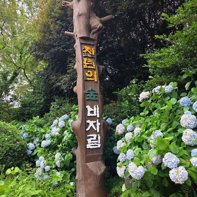비자림