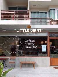 Little Giant