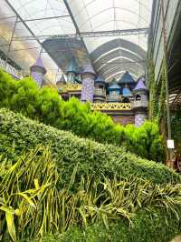 Lavender Garden – A Floral Escape in Cameron Highlands, Malaysia