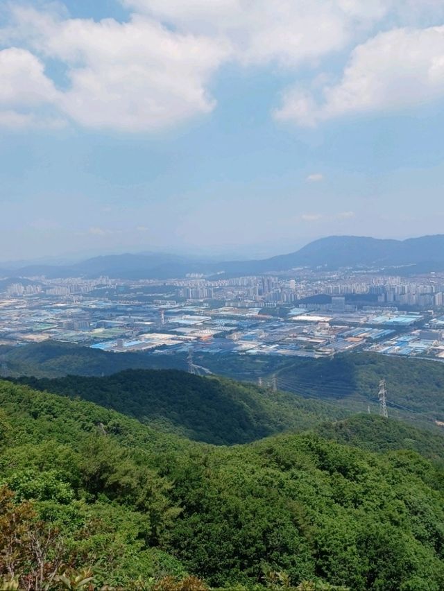 숲길 따라 만나는 고요함