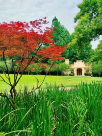 Where West Lake’s Romance Blooms – A Floral Fairytale for All Seasons