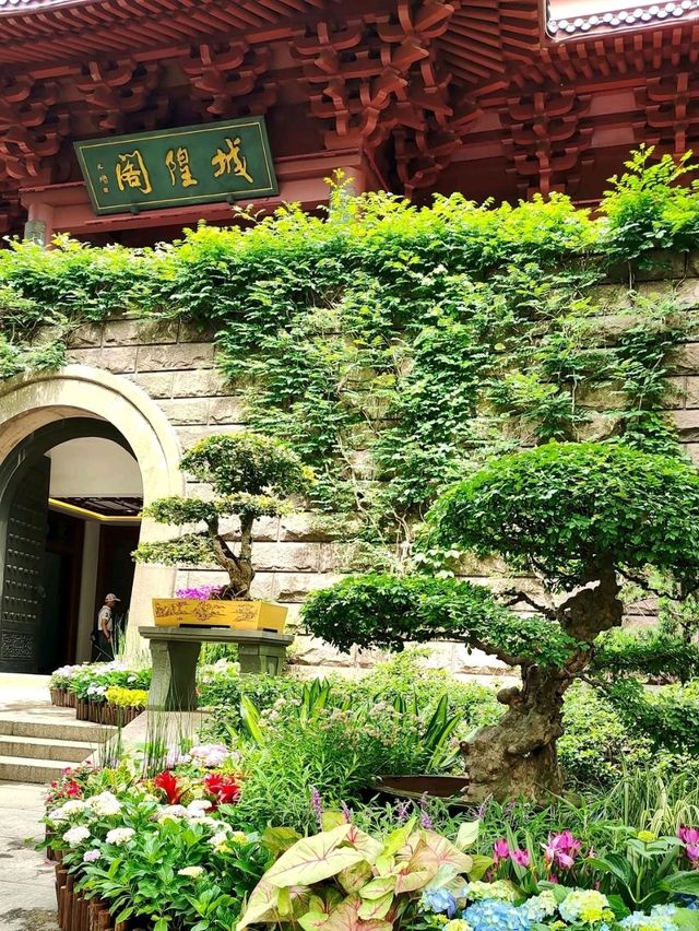 Where Wu Hill's Winds Embrace Centuries, One Tower Captures Hangzhou's Soul