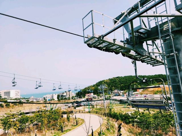 🛷【風馳電掣】釜山 Sky Luge：一家大小都會愛上的滑行快感！
