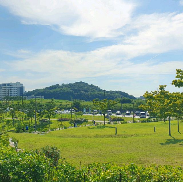 이국적인 해수풀과 빨간 등대를 볼 수 있는 곳 🧞‍♀️