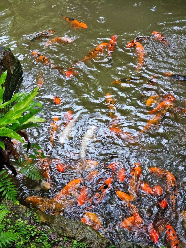 🍹南国カフェで一息、植物と海を感じるトロピカル時間。