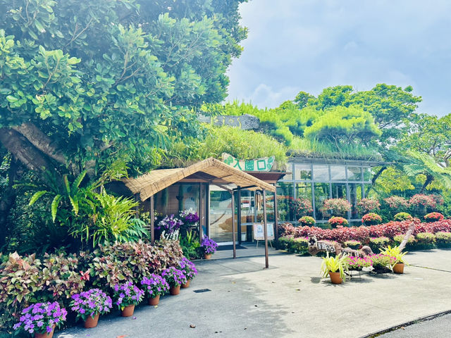 絕對會想一來再來的夏日沖繩旅遊 🏖️#7月好去處2025