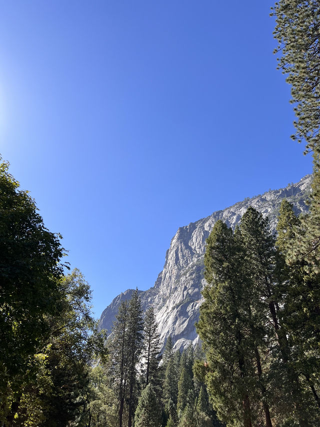 優勝美地半圓頂｜世界最經典花崗岩攀登挑戰 🧗‍♂️