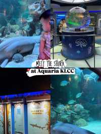 Meet the Shark at KLCC Aquaria