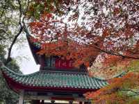 🏞 Changsha One-Day Cultural & Food Tour: Aiwan Pavilion, Museums & Local Delights