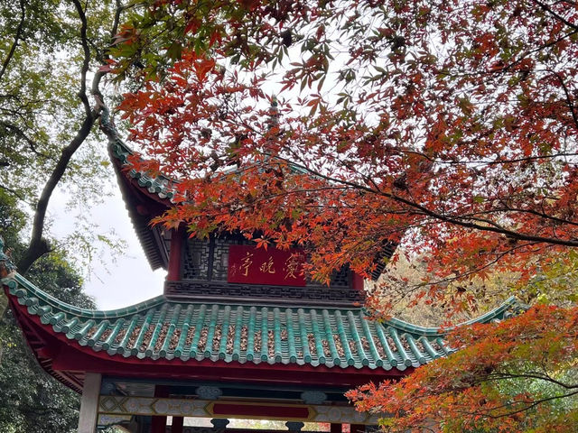 🏞 Changsha One-Day Cultural & Food Tour: Aiwan Pavilion, Museums & Local Delights