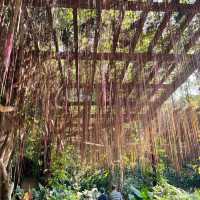 🌿 Escape into Nature at Qingxiu Mountain, Nanning (南宁青秀山)